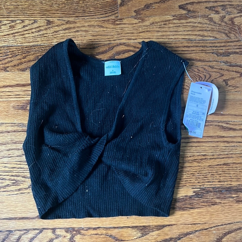 Never worn Wild Fable crop tank